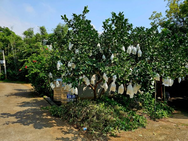 石光古道-2025森遊竹縣皮皮獅探險隊2889122