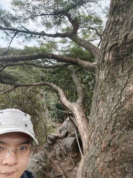 中級山-鳶嘴稍來2889024