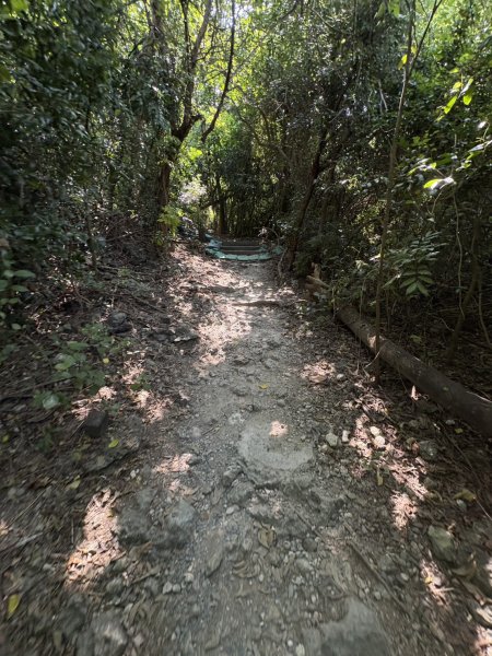 20251012高雄半屏山步道2915116