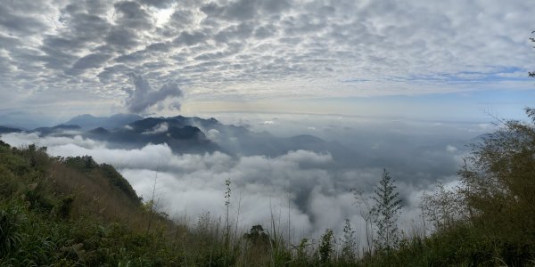 20250119二延平步道2716349