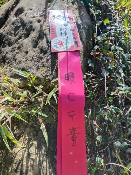 瑞芳區黃金8.5稜+南雅山O型2866453