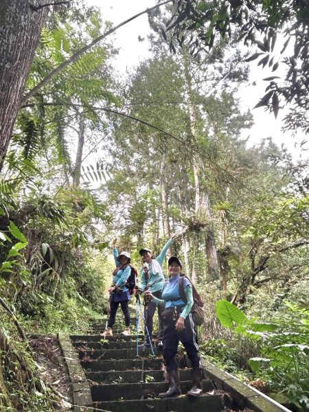 挑竹古道6號走小半天6連峰出孟宗竹林古戰場3108796