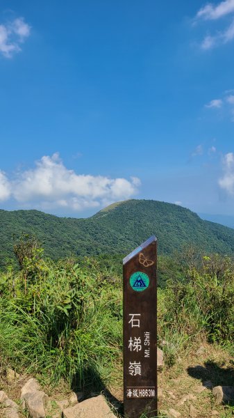 陽明山國家公園-風櫃嘴、石梯嶺、擎天崗1484105