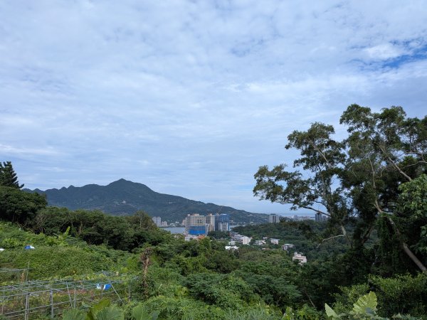 2025-06-14 臺北大縱走第一段來回2814732