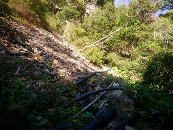 屋我尾山(麗陽線)821166