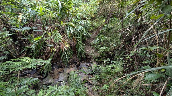 114.12.20劉銘傳隧道-獅球嶺北峰-獅球嶺東砲台山-獅球嶺池-獅球嶺砲台山之旅2966742