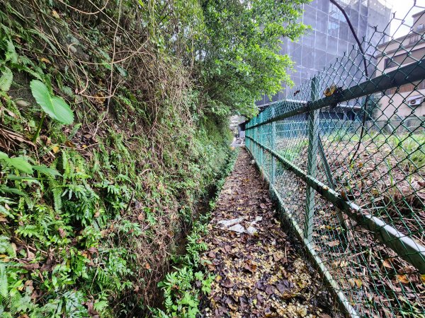 20241229界寮縱走下汐止2721703