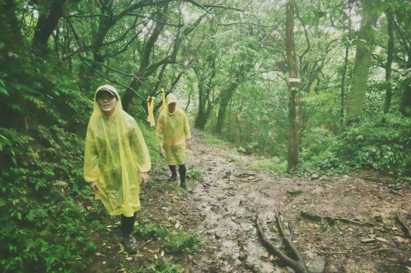 淡蘭古道中路O型988521