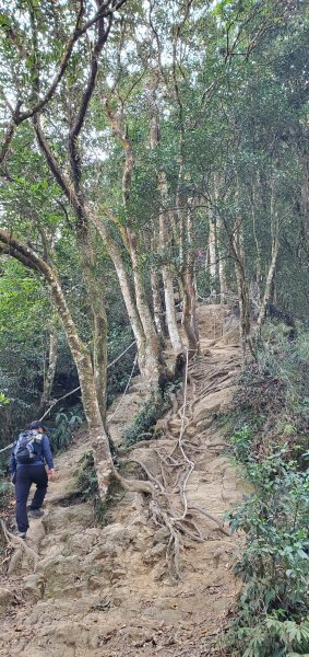 一日2座小百岳仙山、關刀山外加獅潭仙草秘境2082389