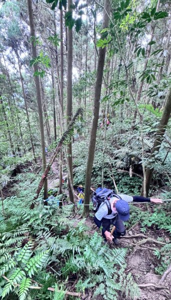 光天高山 - 向天湖山(小百岳32) 小O一圈2876932