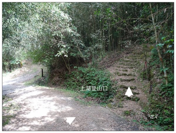 馬那邦山(小百岳)/上湖登山口2427074