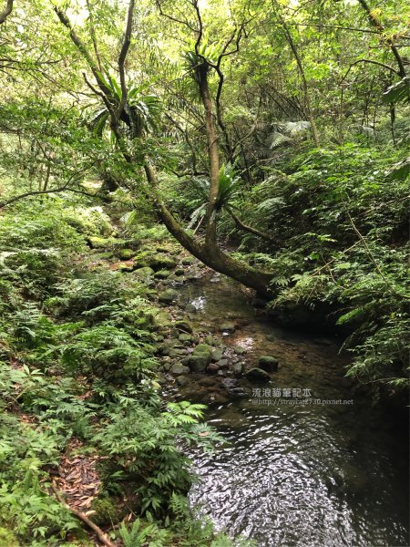 三貂嶺越嶺猴硐步道1035728