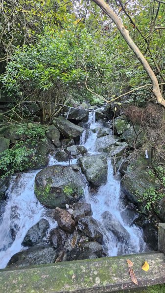 20251124綠峰山莊到天籟-大孔尾步道-南勢湖步道2944092