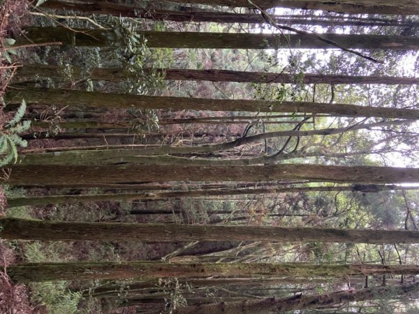 谷關七雄-馬侖山1116755