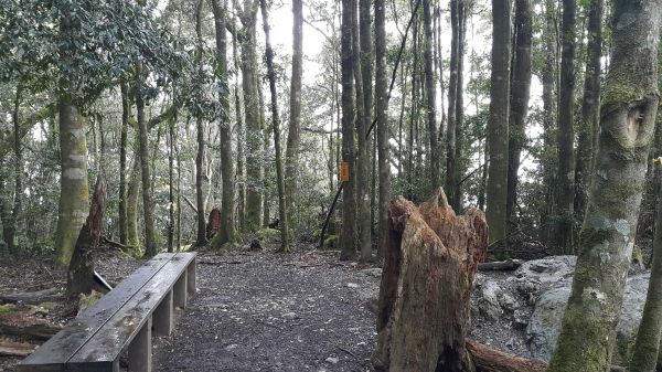 悠閒與激情交盪的加里山114136