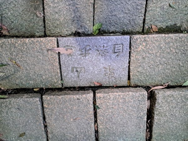 台北象山親山步道3116061