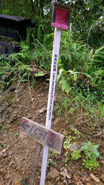 璀璨百年淡蘭古道～崩山坑古道、溪尾寮山、保城坑古道、虎豹潭步道O走1313439