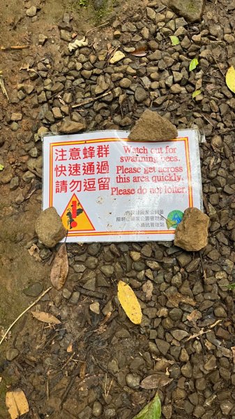 臺北大縱走第一段_關渡至二子坪2853788