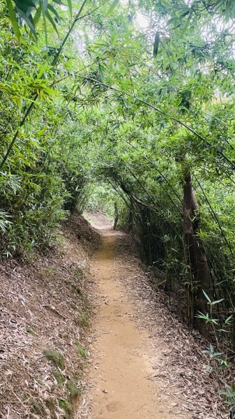 鶯歌石步道2865021