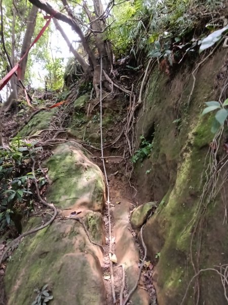 瑞芳區瑞芳四秀(白象山+秀崎山+瑞芳山+龍潭山)2785220