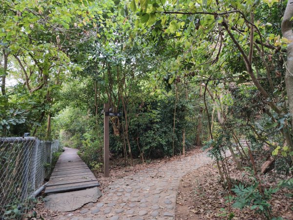 2023.12.24 高雄壽山2835308