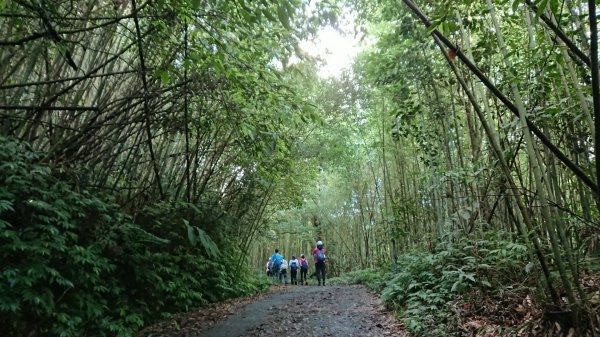 馬拉邦山上湖登山口O型走1069016