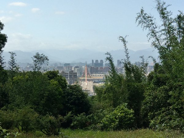 劍潭山步道1453894