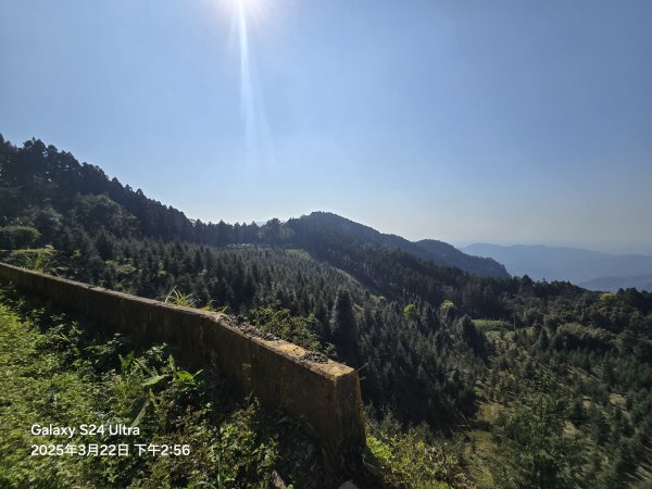 2025-03-22油羅山步道2743447