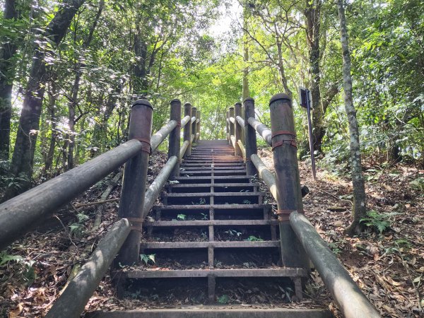 小百岳No.22⛰東眼山2568792