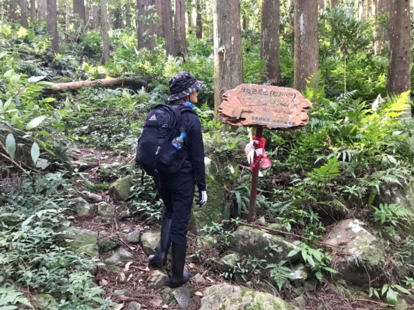 上山下谷哈堪尼山環走台車道628846