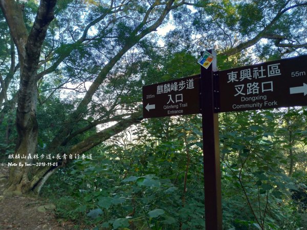 麒麟山森林步道20181103封面