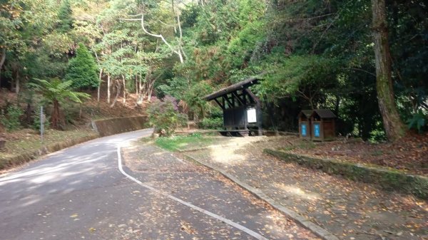 20221112 苗栗泰安雪見遊憩區林間步道及二本松解說站(丸田砲台遺址步道) 走走1909318