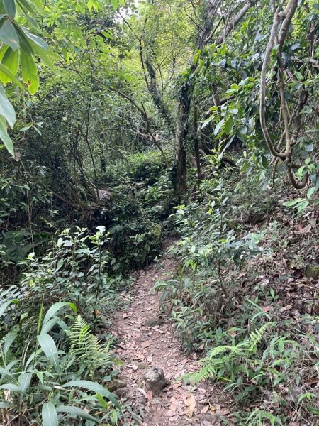 暗影山_2025/05/042782330