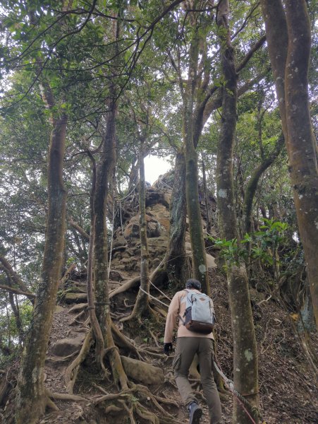 2025.01.18－仙山步道2706108