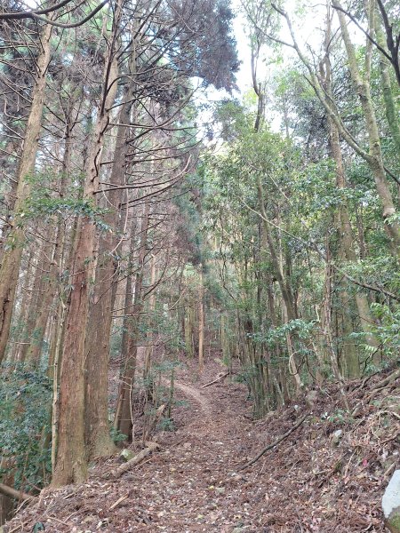 盡尾山202512252972004