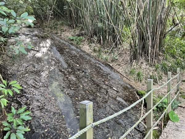 暖東峽谷步道2949289