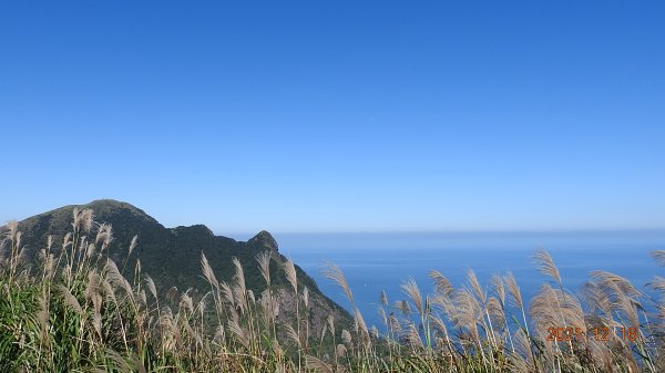 人品大爆發?天道酬勤?雲海好美好滿，芒花季再度大台北三寶之茶壺/半屏/燦光寮山1552240