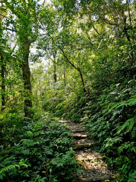 淡蘭南路第四段：𩻸魚堀溪自行車道至縣界公園2873627
