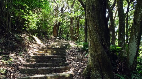 大崎頭梯田,坪頂古圳2208623