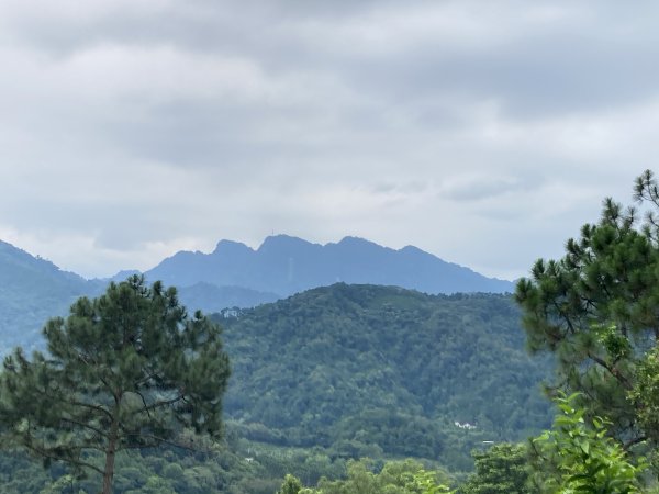 大分林山步道2550351