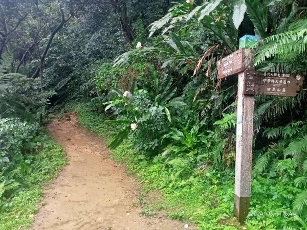 【臺北大縱走 6】中華科大→捷運麟光站、【小百岳集起來】#013 南港山 H375m2470675