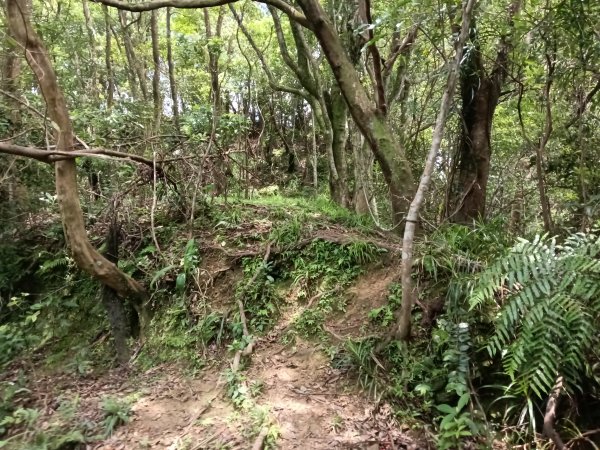 平溪區平溪子山遇雷雨O型2850127