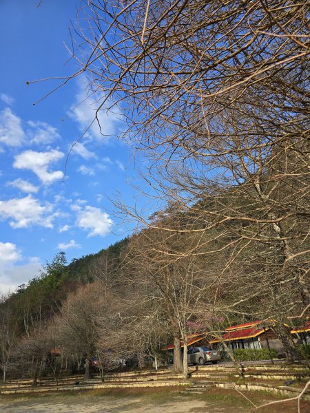 20250228 桃山+池有山2919188