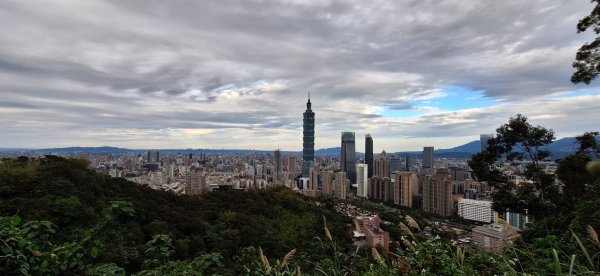 【貓貓自創路線】四獸山+南港山+九五峰+永春坡公園完成!2705808