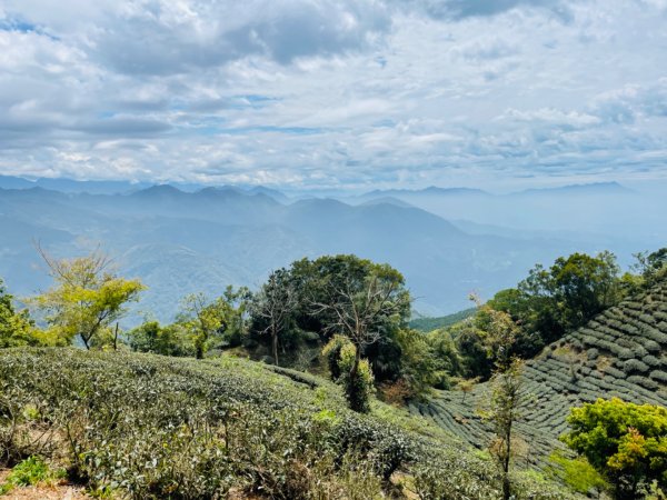 1110317阿拔泉山-觀音石山-大巃頂-獨立山O繞1645920