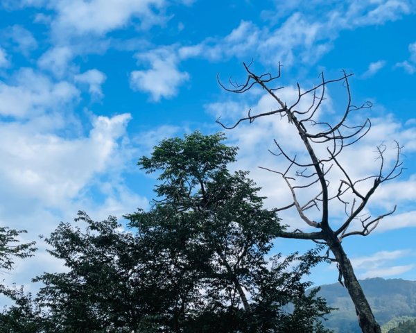 鳶嘴西稜上鳶嘴山-三崠山連走2652137