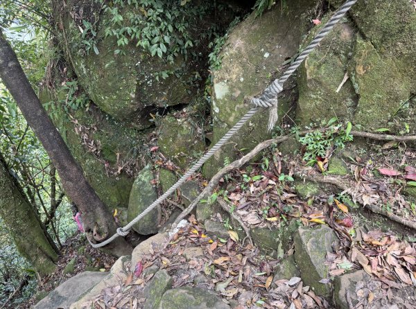 [微笑山線_第八段] 2026_0411 二格山系_筆架山北峰3035128