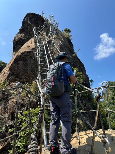 孝子山、普陀山、慈母峰賞鹿子野百合O走2592937