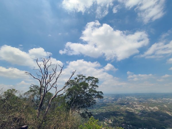 南化龍麟山（王爺崙山）O型952459