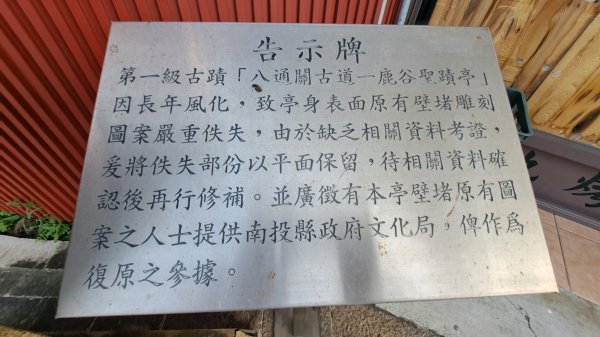 20250218 金柑樹山+忘憂森林2719526